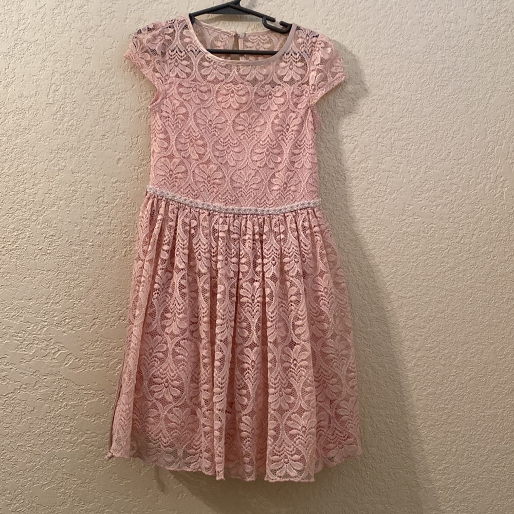 Extraordinary Pink Lace Dress, 6